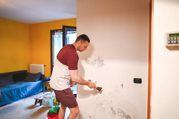 Reliable Fox Island, WA Mold Removal Solutions